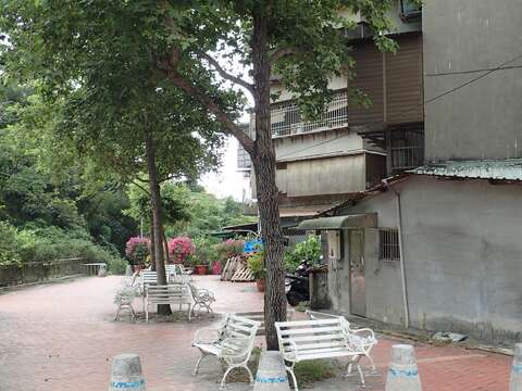 啟動夏日樂活模式 南港山親山步道齊步走！