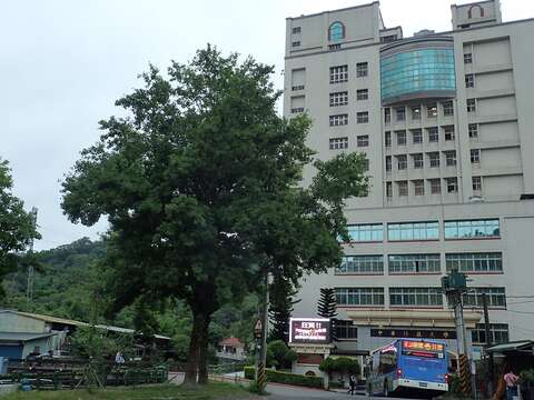 啟動夏日樂活模式 南港山親山步道齊步走！