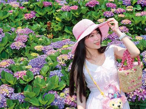 陽明山竹子湖（圖／台北畫刊提供）