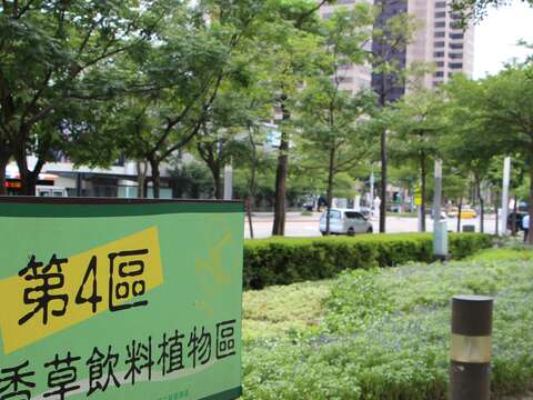 夏天的香料記憶 鼠尾草庭園廚房兩相宜