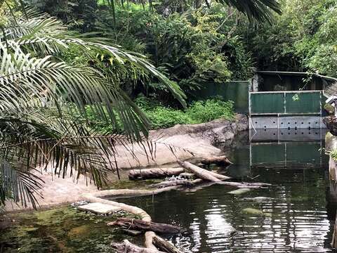 動物園的夜即將開鑼-全能保育員週週開講