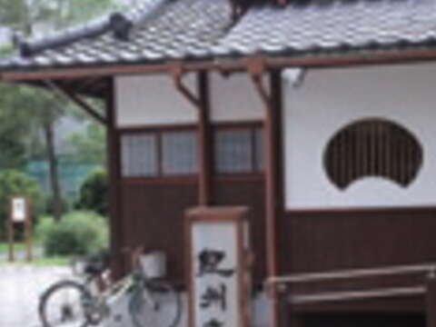 幼時住處紀州庵浴火重生,讓王文興欣喜不已。(王能佑攝)