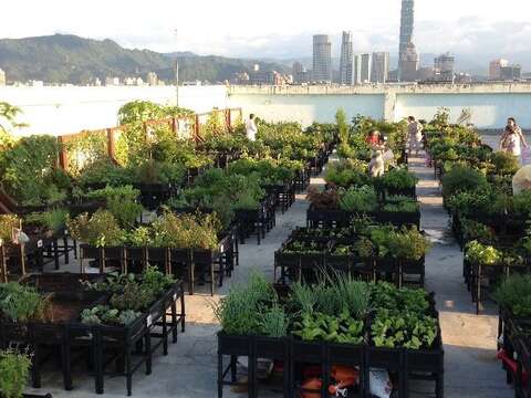 社區食農小旅行開放報名中！樂活萬華、文史信義、生態松山，社區園圃與在地生活的相遇