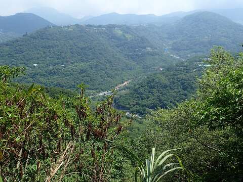 遠眺陽明山層巒山景