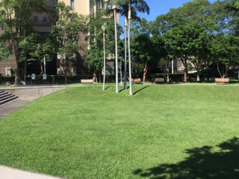 福志公園綠意盎然的大片草皮