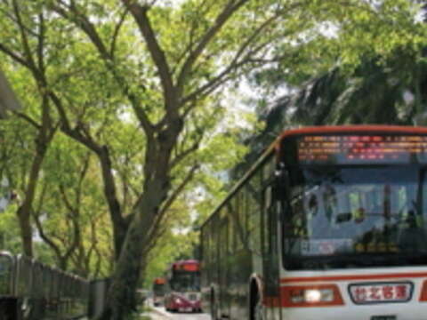 公車專用道、低地 板公車,加上司機溫馨提醒,讓公車評價大大提升。(王能佑攝)