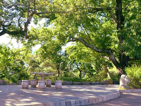 Enjoy Midsummer Music under the Tree at Beitou’s Hushan Borough
