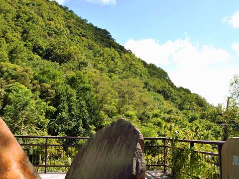 Enjoy Midsummer Music under the Tree at Beitou’s Hushan Borough
