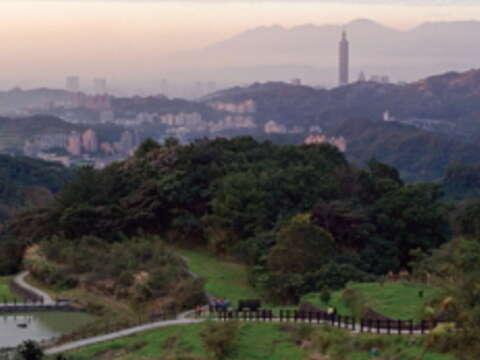 搭貓纜上山後轉登 樟樹步道，台北市全景盡收眼底。（許斌攝）