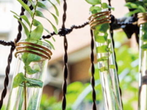 鋁線創作家蕭莎莉因為對園藝興趣濃厚，利用鋁線做成水生植物的支撐，完美結合鋁線與園藝。（許斌攝）