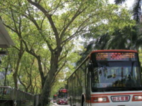 與捷運串連的公車路網讓臺北市民穿梭自如，也減低對汽機車的依賴。（王能佑攝）