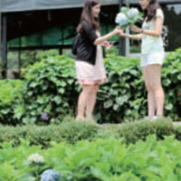 台北畫刊559期—親山步道尋芳蹤