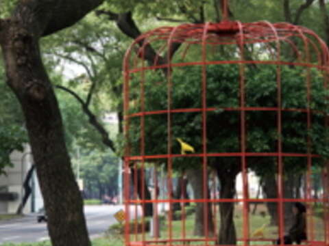 林蔭大道能減少二氧化碳排放、清新空氣,不少人選擇在敦化南路分隔島散步、休息。(約瑟攝)