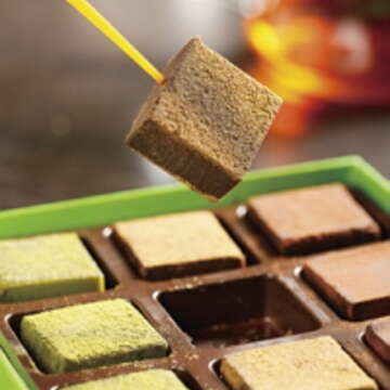 以鐵觀音茶葉粉加入巧克力、新鮮奶油製成的「茶觀紅韻」生巧克力，令人垂涎欲滴。（楊智仁攝）