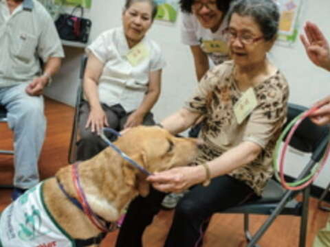 藉由幫治療犬Dior套圈圈,有助失智長者增強記憶並刺激情感表達。(許斌攝