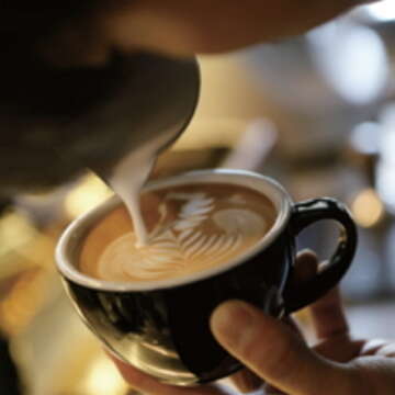 臺北咖啡文化逐漸成形，今年的咖啡文化節主推中美洲咖啡。（楊智仁攝）
