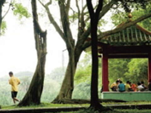 一家老小在涼亭野餐聊天，還可見到跑者環湖運動，有如都市綠洲。