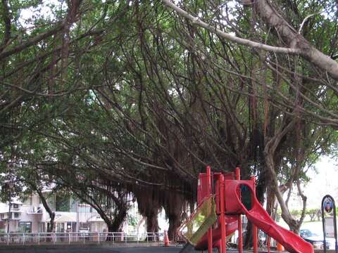 Playground Facilities Renewed for Beitou’s Ronghua Park
