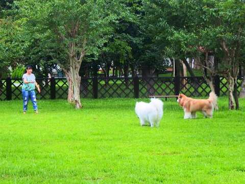 「至善公園(福林)狗狗活動區」正式啟用 歡迎市民帶狗狗一同前往體驗