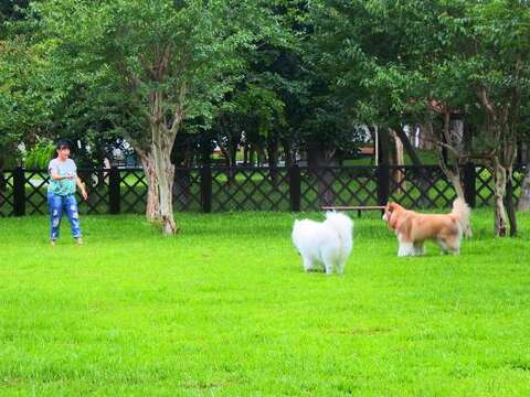 「至善公園(福林)狗狗活動區」正式啟用 歡迎市民帶狗狗一同前往體驗