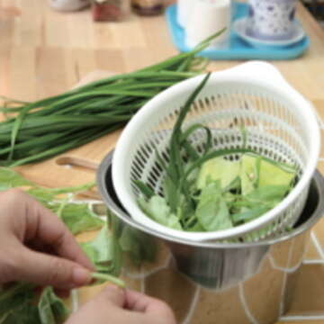 準備一個網狀容器，處理菜葉等生廚餘時，直接丟入瀝去水分。 （葛晶瑩攝）
