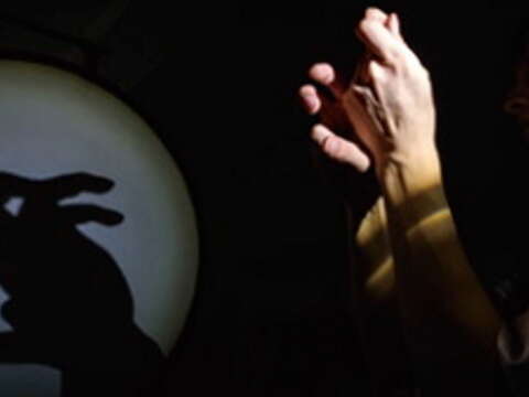 手影魔術師張正龍運用雙手並藉由燈光，活靈活現地投影出兔子形狀。（許斌攝）