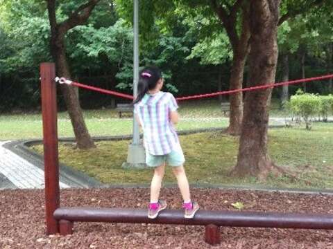 平衡木可促進四肢協調。