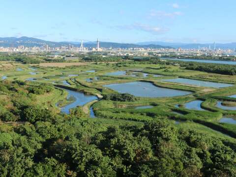 關渡自然公園擁有多樣的濕地環境，透過環境教育與保育活動，引導大家親近大自然。