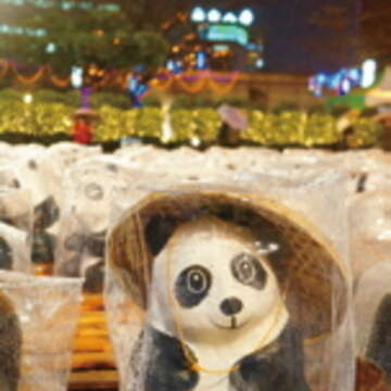 紙貓熊穿起雨衣、戴上斗笠,抵擋雨勢。(林瑋庭攝)