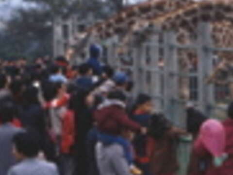 圓山動物園與兒童樂園合併時期,曾是每個孩子心中的快樂天堂,每逢假日人山人海。(本刊資料照)
