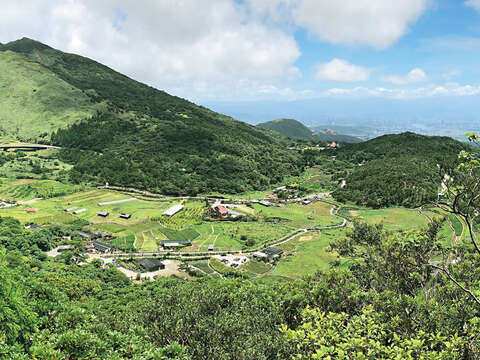 竹子湖地區豐富的植物生態景觀，是在台北市中心內簡單親近大自然的必備口袋名單。（攝影／李智為）