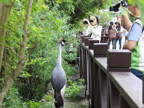 「菜鳥」防禦守則：敵不動，我不動！