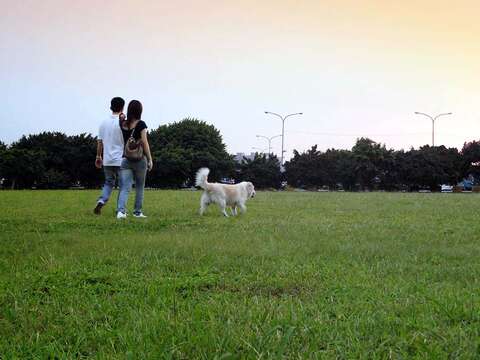 馬場町紀念公園有廣大的綠地