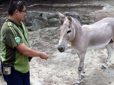 為了配合醫療、減少動物緊迫、方便日常生活管理、建立人與動物的友好關係，透過特別設計的動物訓練，讓動物和保育員間建立起互相信任的關係