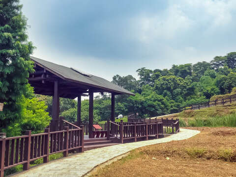樟樹步道