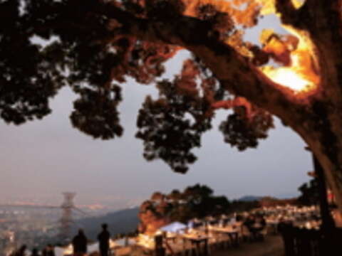 草山夜未眠景觀餐廳擁有「左擁101,右攬淡江月」的無敵視野。(楊智仁攝)