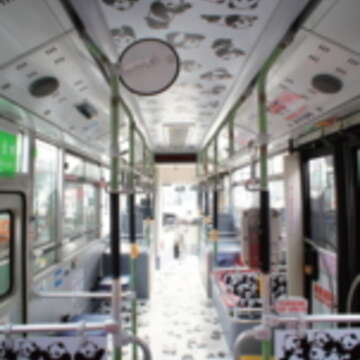 圓仔公車的地板、天花板、側板滿是圓仔圖樣。（圖／臺北市公共運輸處提供）