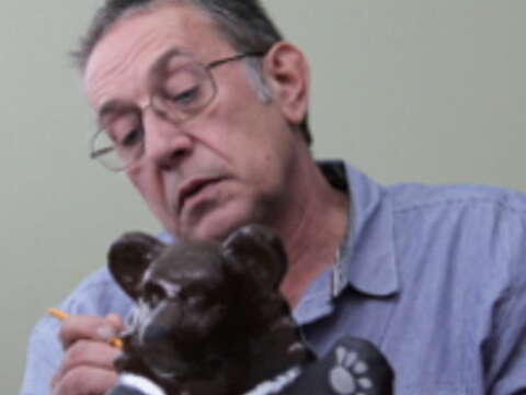 Paulo Grangeon正專注描繪臺灣黑熊的神韻及特徵。
