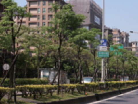 樹木銀行是樹木生命旅程的中繼站，並且扮演媒合角色，讓銀行裡的樹木各得其所。（圖／臺北市政府觀光傳播局提供）