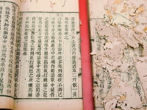 紙張修復工作困難重重，但吳哲叡秉持膽大心細、整舊如舊，修復紙張。（攝影／顏涵正）