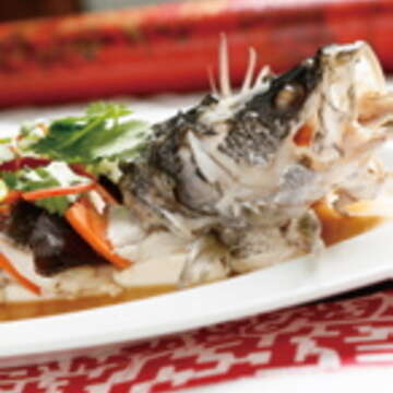 清蒸麒麟魚