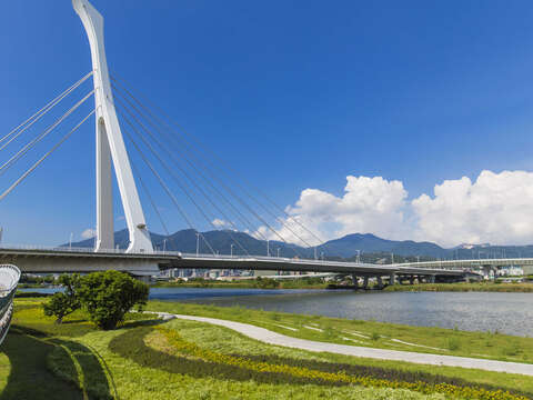 花海地點很靠近社子大橋