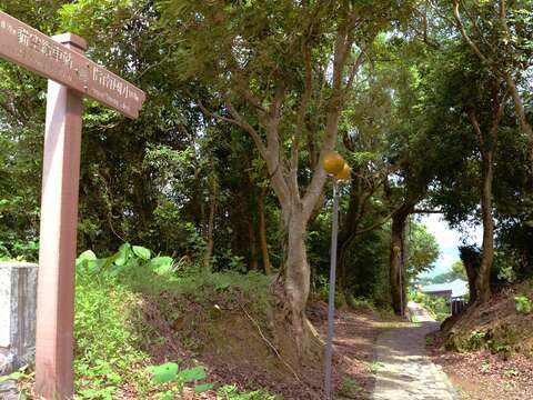 茶路古道往田寮橋步道