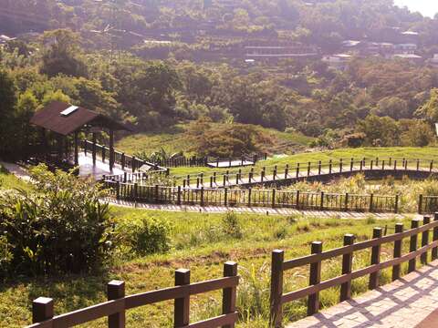 樟樹步道