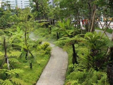 三重世貿公園翠綠的蕨類谷地園。