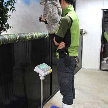 透過正向的動物訓練，能有效降低動物受檢或醫療時的緊迫