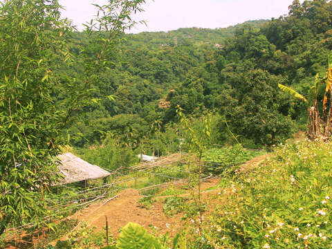半嶺聚落田園風景