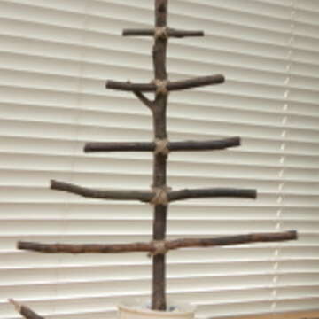 DIY 聖誕樹 7.這樣就完成了一棵「種」在馬克杯中、簡單版的樹枝聖誕樹，可以將聖誕飾品吊掛在樹幹上，好好裝飾一番。（圖／葛晶瑩提供）