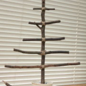 DIY 聖誕樹 7.這樣就完成了一棵「種」在馬克杯中、簡單版的樹枝聖誕樹,可以將聖誕飾品吊掛在樹幹上,好好裝飾一番。(圖/葛晶瑩提供)