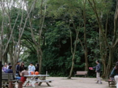 步出捷運象山站,老樹成蔭的中強公園正等著你前往探訪。(攝影/楊智仁)